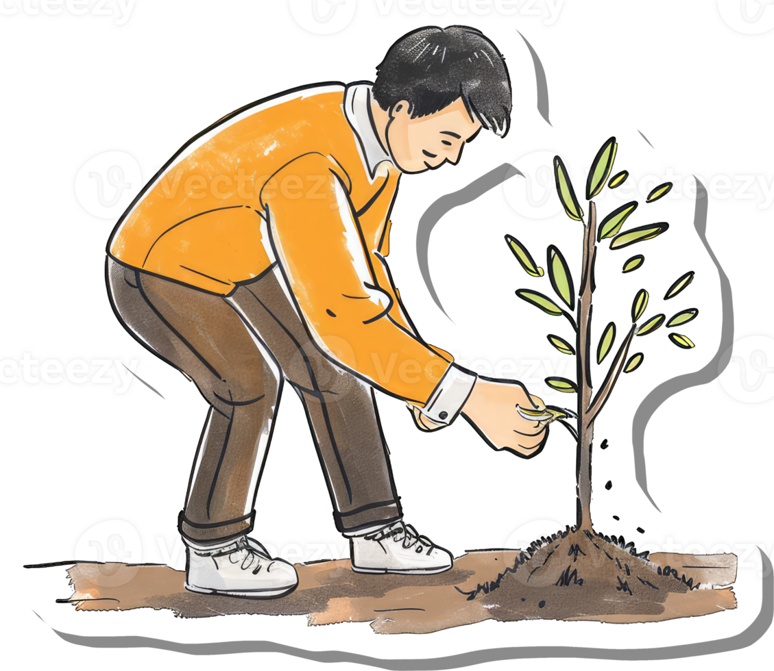 Man Planting a Young Sapling Tree Carefully png