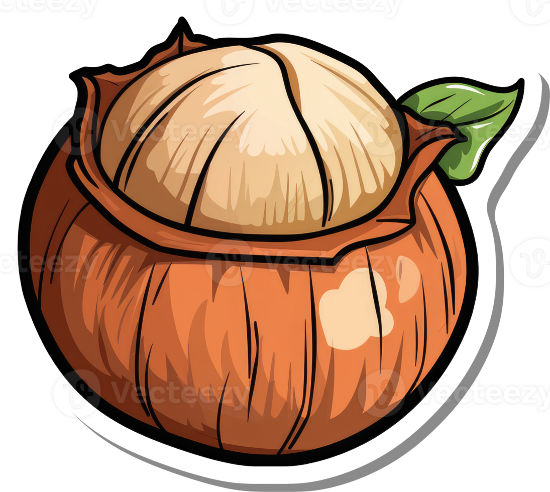 A Single Hazelnut in its Shell Ready to Eat png