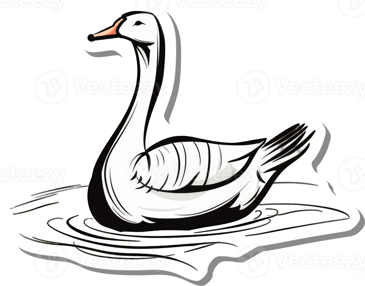Elegant White Goose Swimming Gracefully in Water png