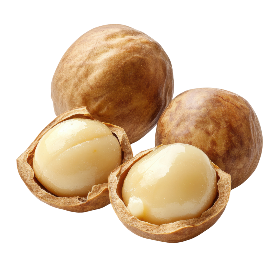 Discover the unique features of macadamia nuts isolated on a bright Transparent background, macadamiaisolated on background png