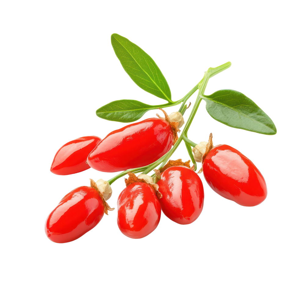Goji berries with green leaves isolated on a clean white background for healthy food concepts, Goji berries isolated on white background png