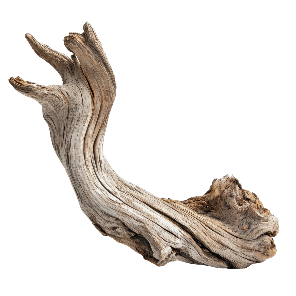 Driftwood piece with unique texture and shape isolated on Transparent background for nature and design use, Driftwood isolated on background png