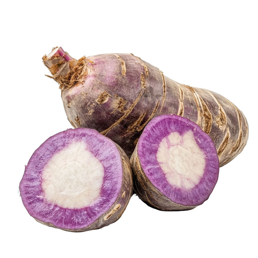Taro root with purple flesh and skin isolated against a Transparent background, Taro root isolated on background png