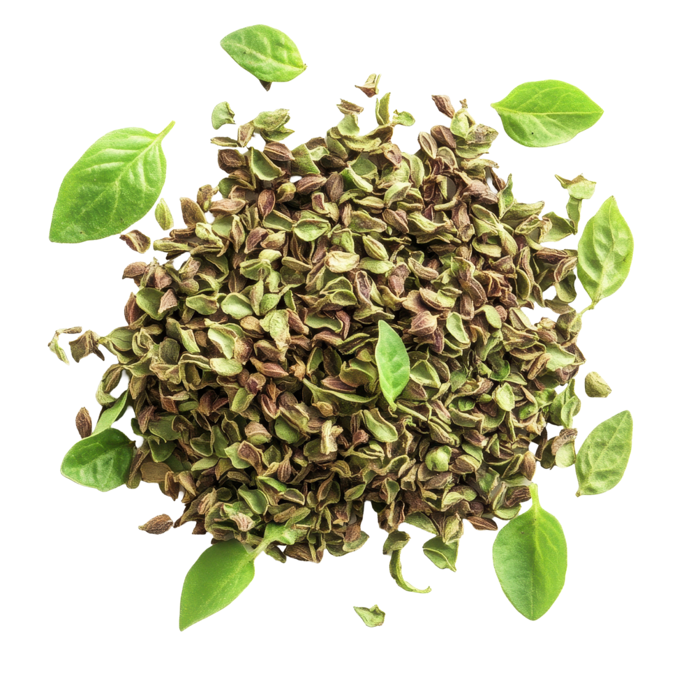 Oregano spice and fresh leaves on a Transparent background showcasing natural ingredients for cooking, Oregano spice on background png