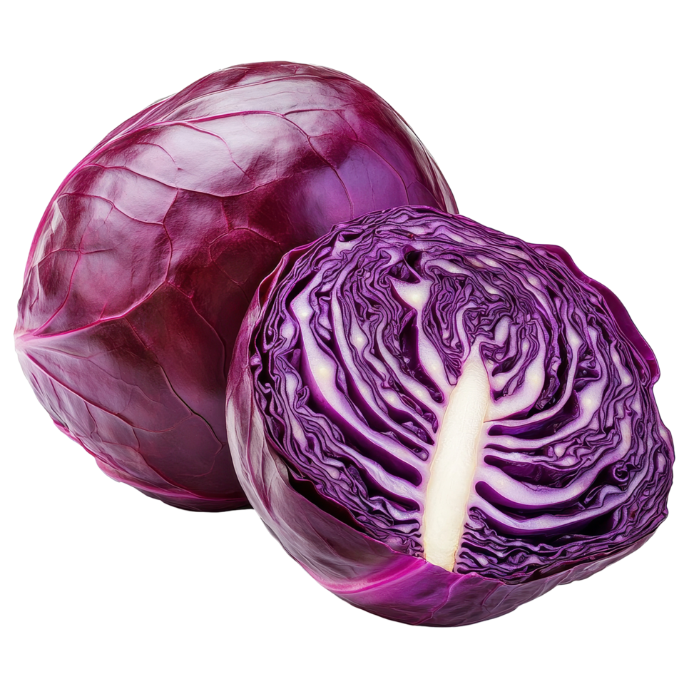 Fresh red cabbage on white background with vibrant colors and rich textures showcasing healthy eating, fresh red cabbage isolated on white background png