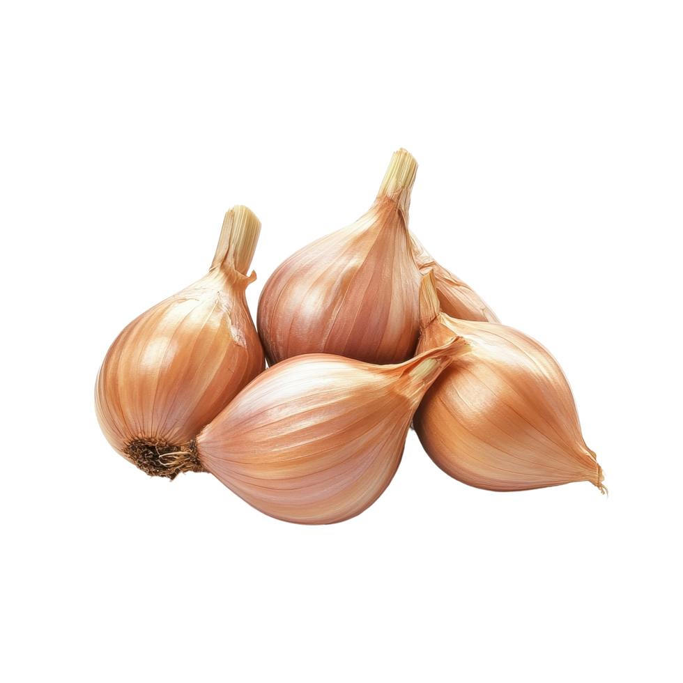 Fresh shallots isolated on Transparent background ready for culinary use, shallots isolated on background png