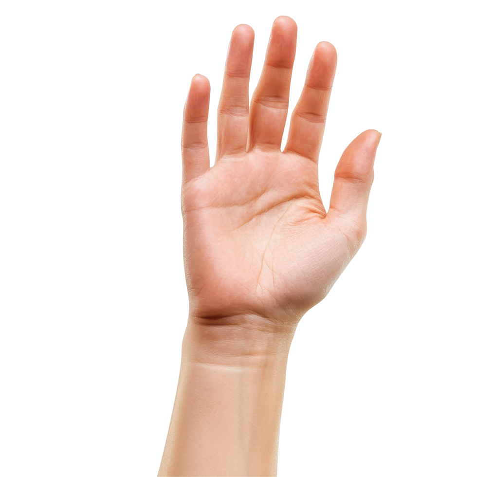 Isolated hand gesture showing open palm against a white background, Haning Hand isolated on white background png