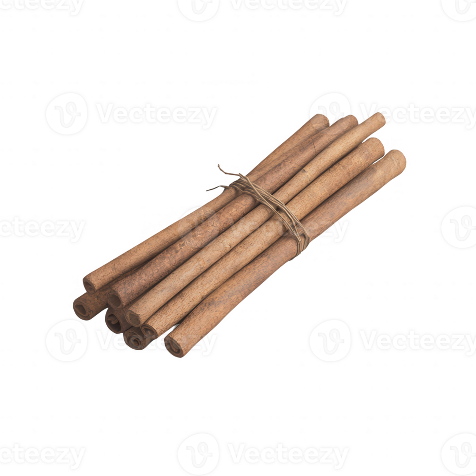 A bundle of fresh cinnamon sticks tied with twine, ideal for culinary use. png