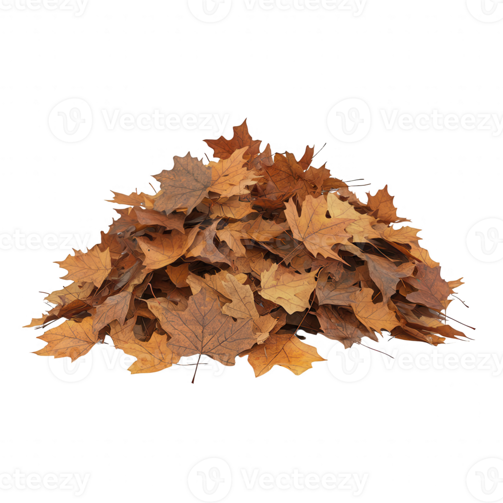 A pile of colorful autumn leaves on the ground, symbolizing the beauty of fall. png
