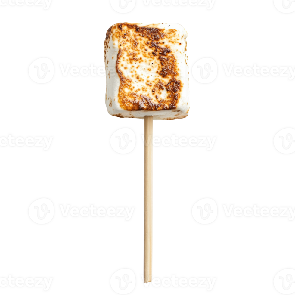 A toasted marshmallow on a wooden stick. isolated png