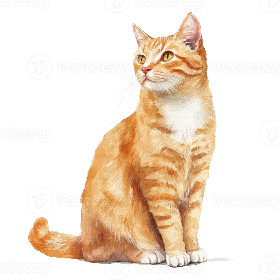 A Watercolor Painting Of An Orange Tabby Cat. cut out png