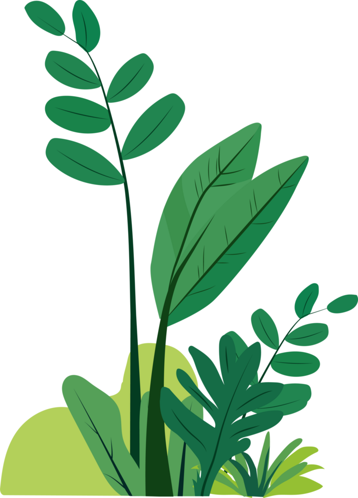 green plants clipart png