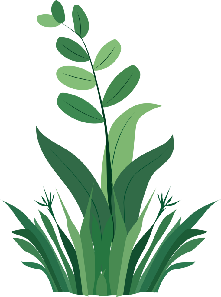 green plant clipart png