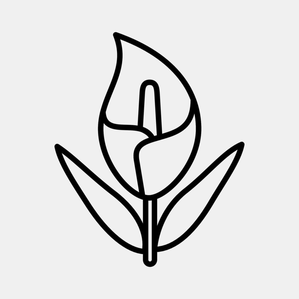 Icon calla lily. Beautiful flowers elements. Icon in line style. vector