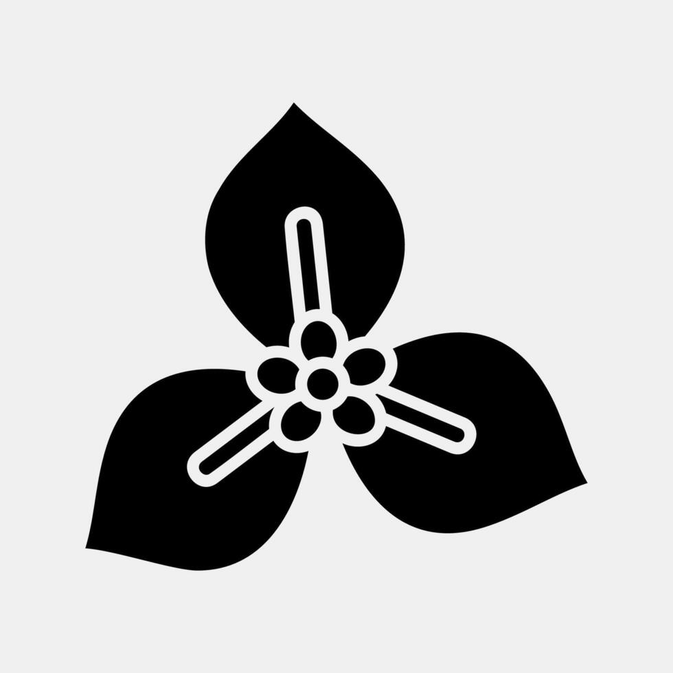Icon bougenville. Beautiful flowers elements. Icon in glyph style. vector