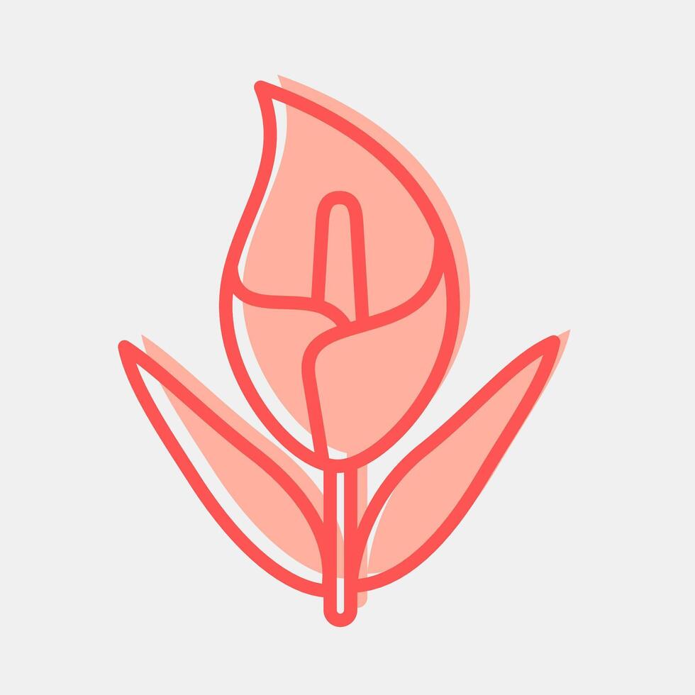 Icon calla lily. Beautiful flowers elements. Icon in two tone style. vector