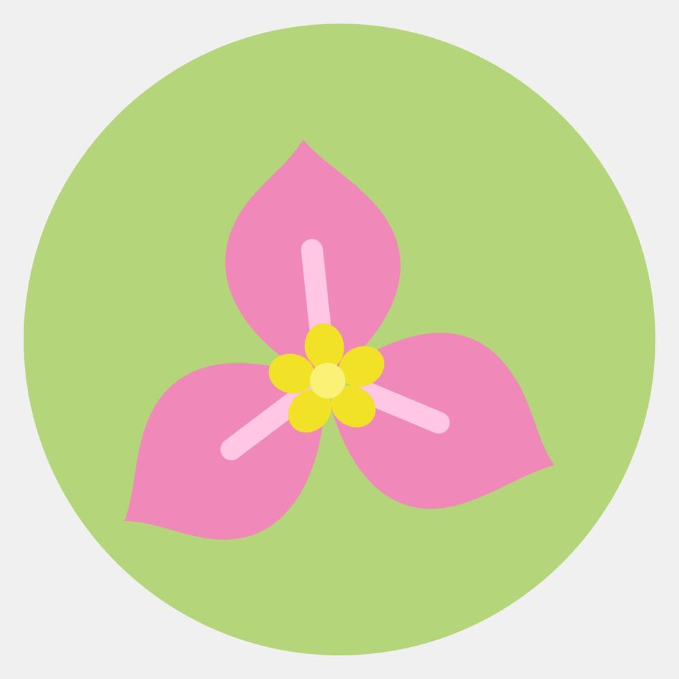 Icon bougenville. Beautiful flowers elements. Icon in color mate style. vector