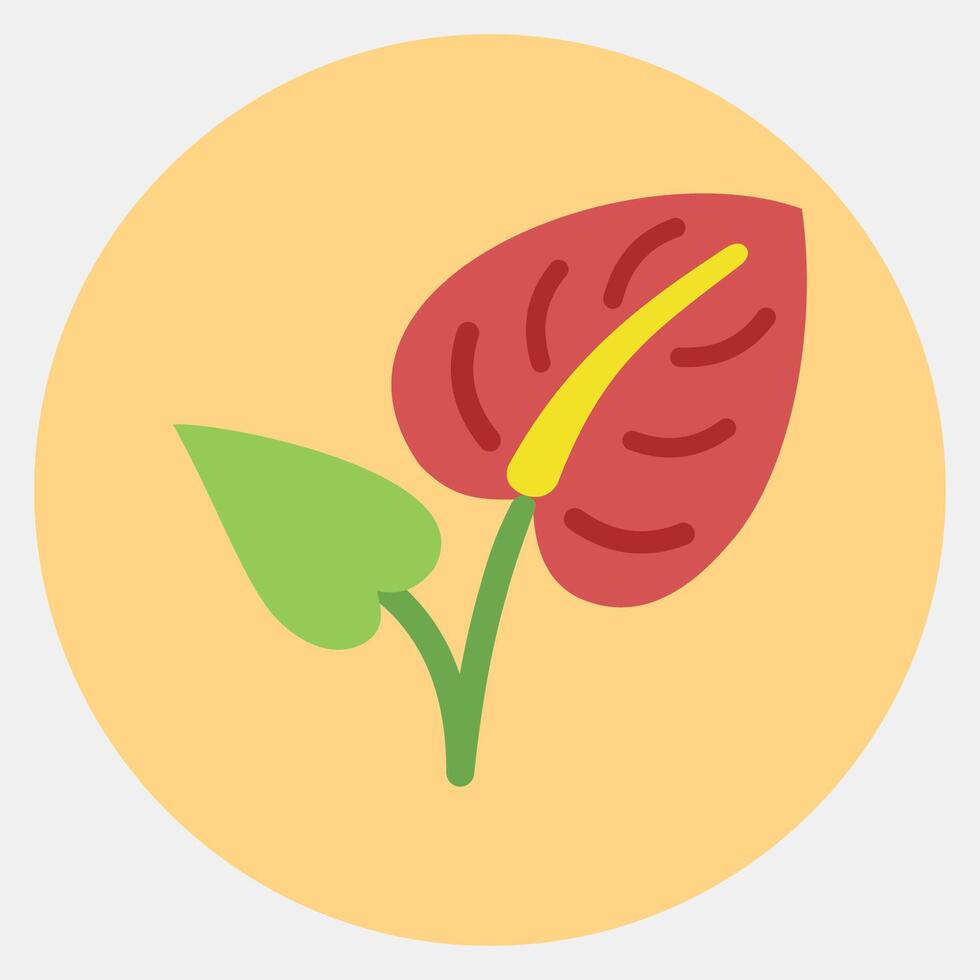 Icon anthurium. Beautiful flowers elements. Icon in color mate style. vector