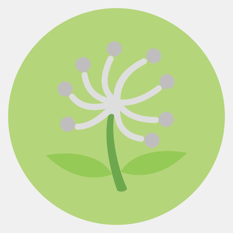 Icon dandelion. Beautiful flowers elements. Icon in color mate style. vector