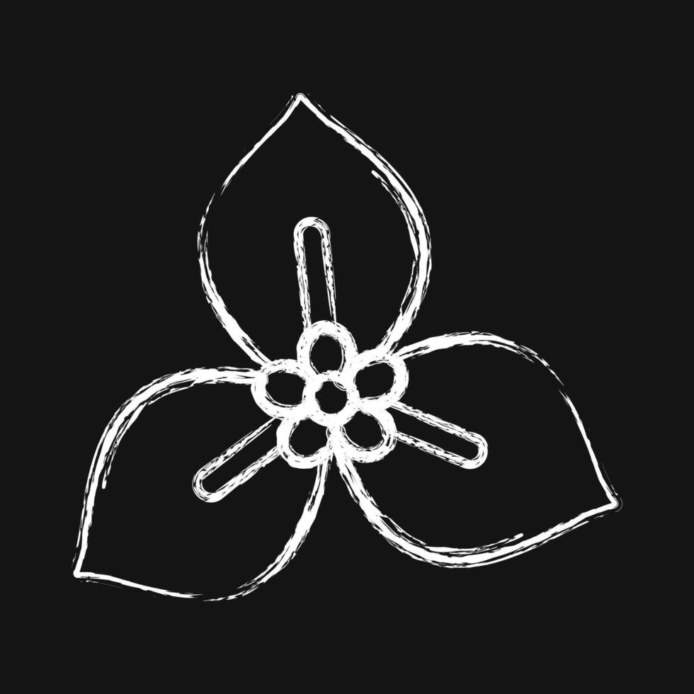 Icon bougenville. Beautiful flowers elements. Icon in chalk style. vector