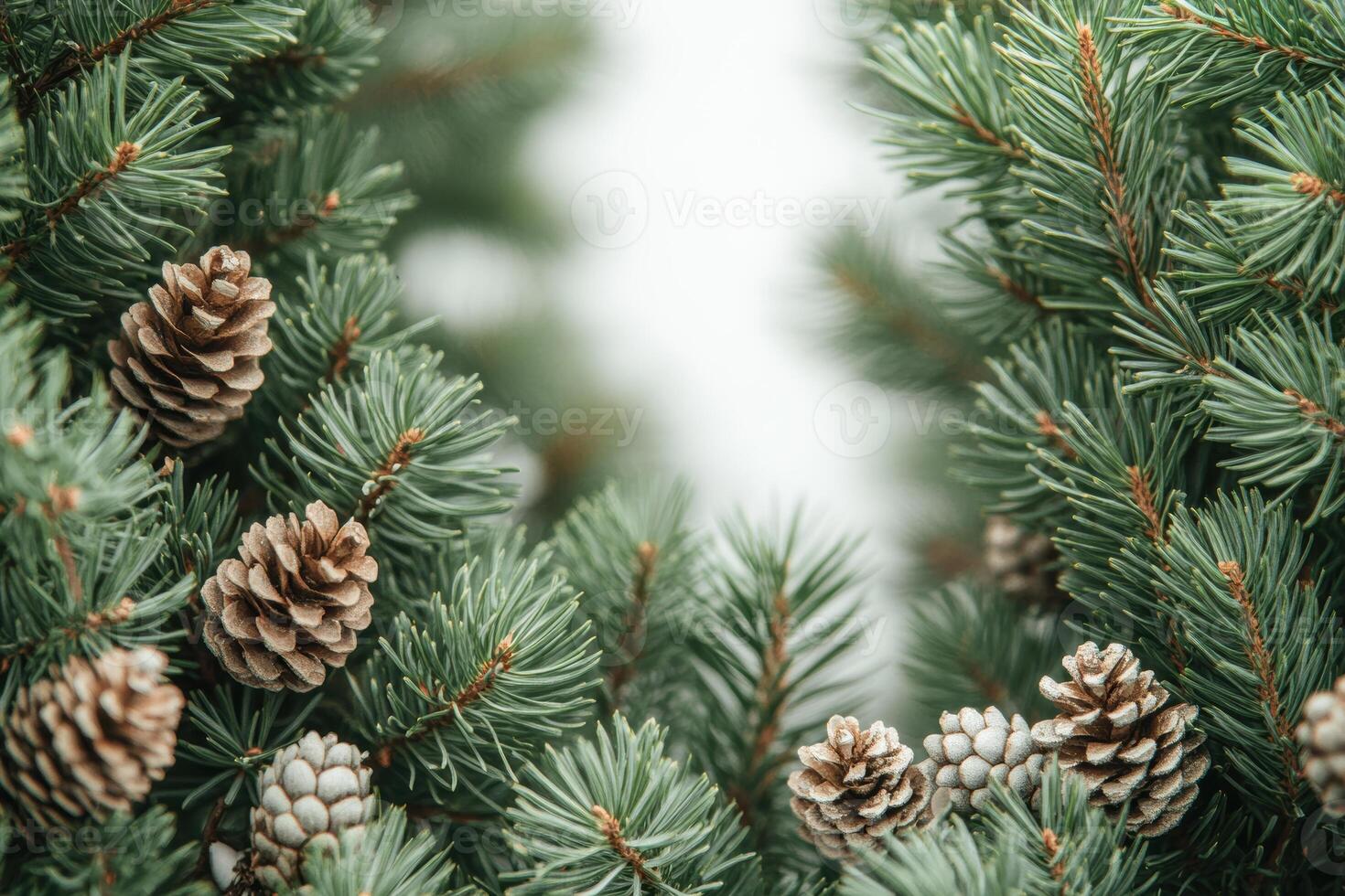 Pine cones and evergreen branches creating a natural forest winter backdrop photo