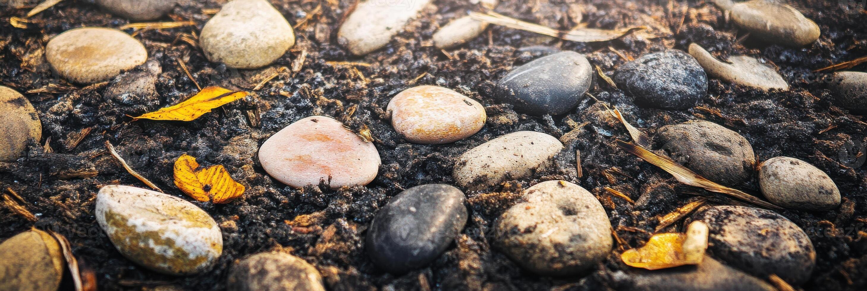 Colorful pebbles on soil with autumn leaves and natural light accents photo