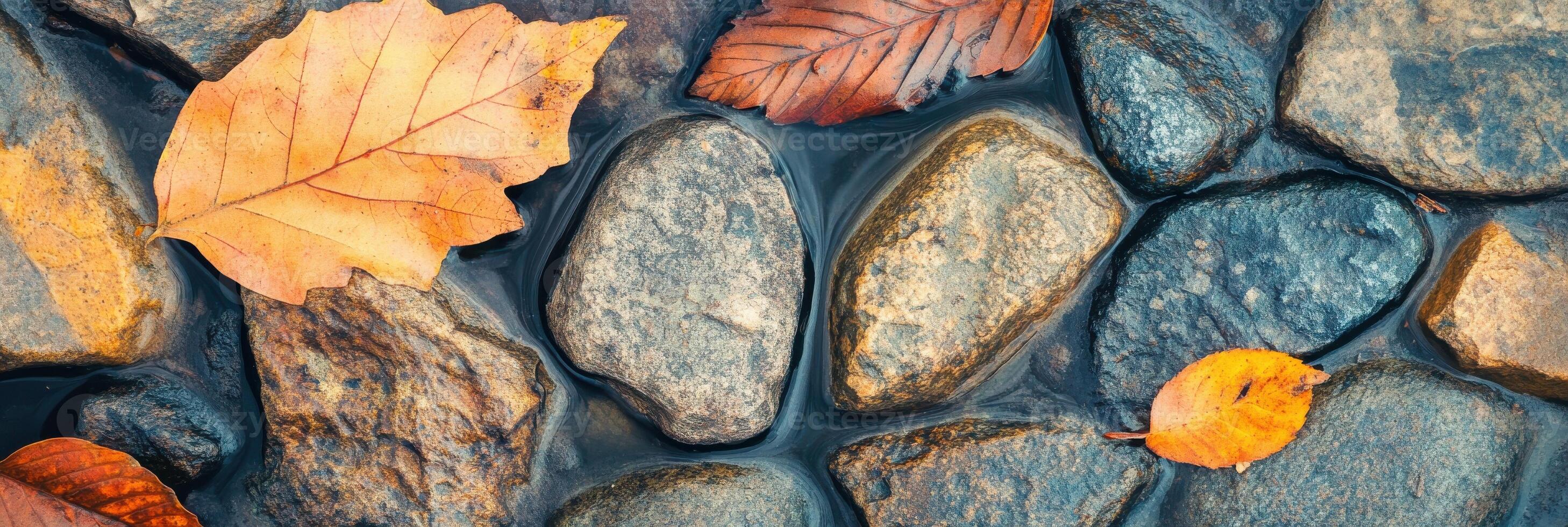 Colorful autumn leaves on wet stones creating a natural pattern of season change photo