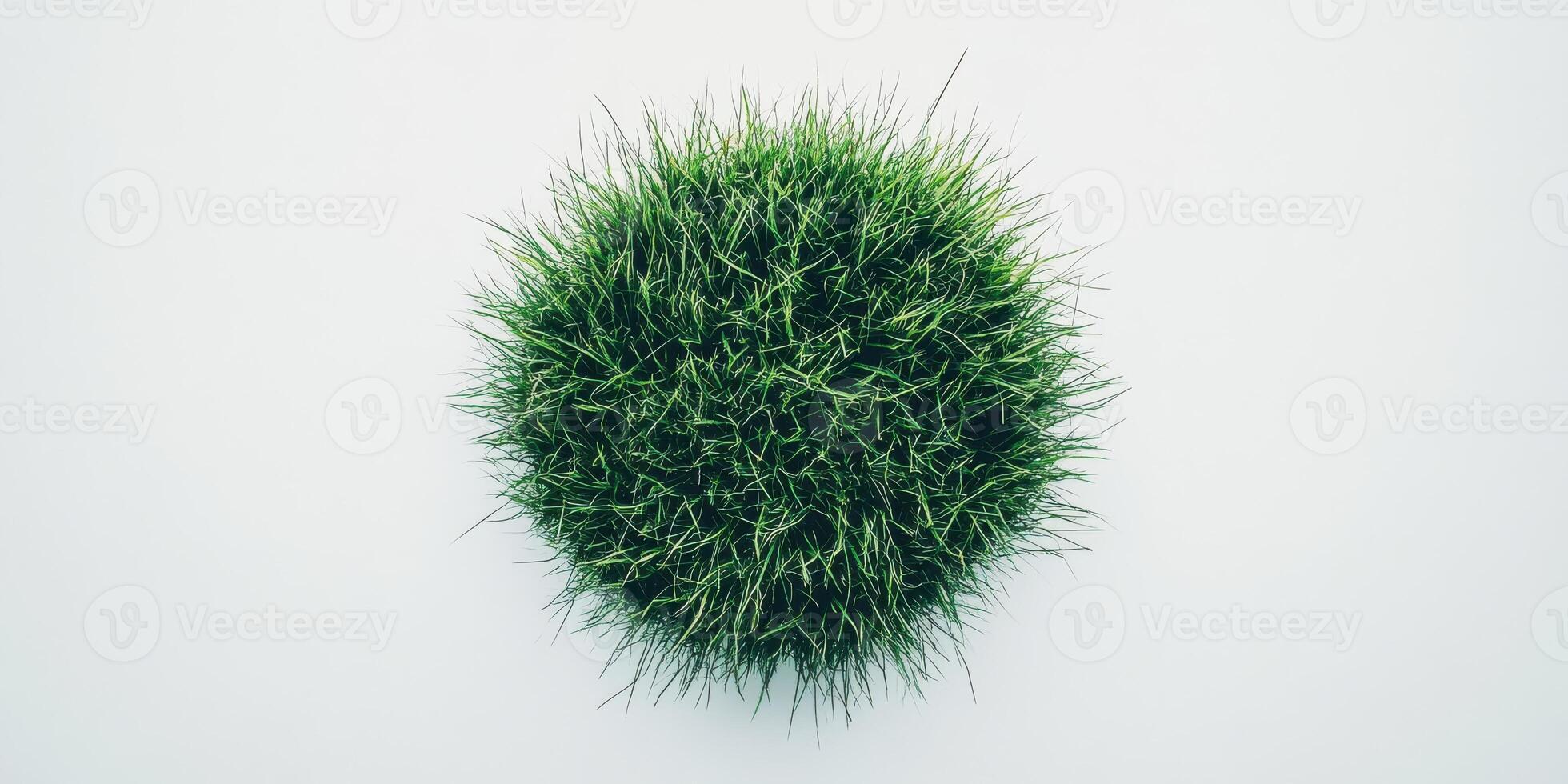 Circular patch of lush green grass isolated on white background surface photo