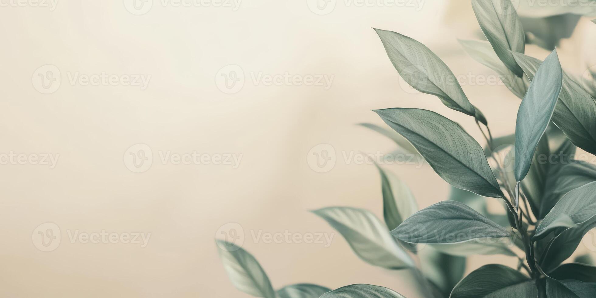 Close-up of lush green leaves with soft background for nature concept photo