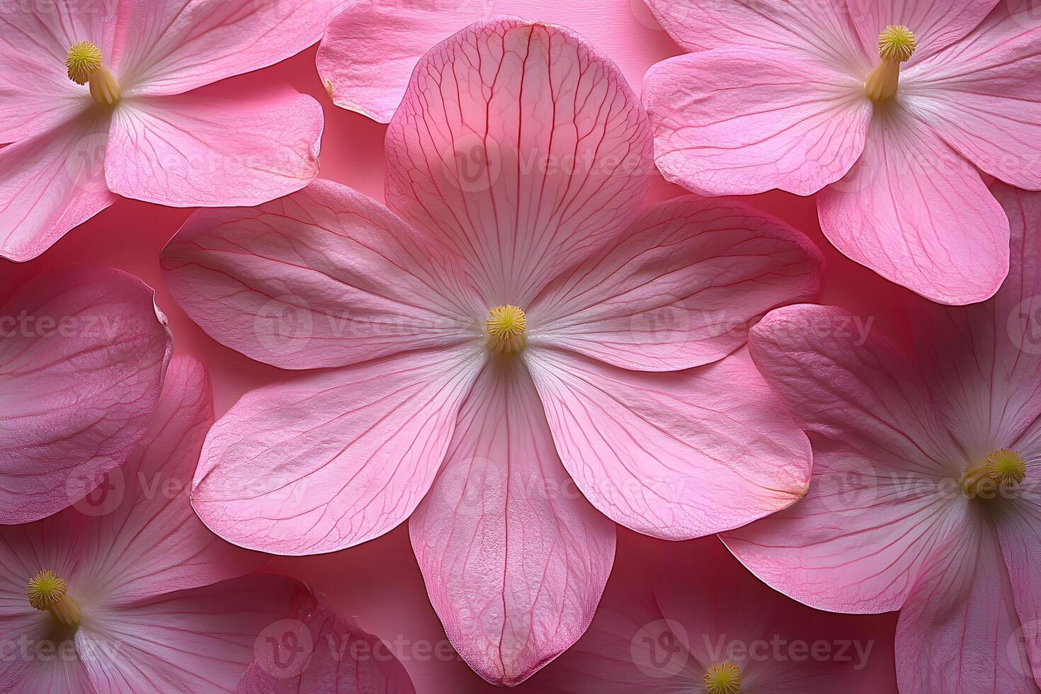 Delicate Pink Petal Texture for Nature-Inspired Designs and Decor photo