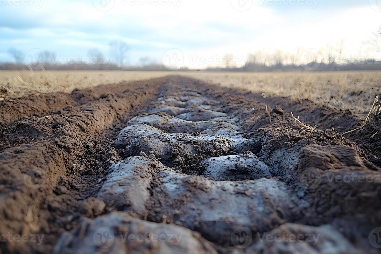 Rural Agricultural Landscape with Plowed Soil Furrows at Dawn photo