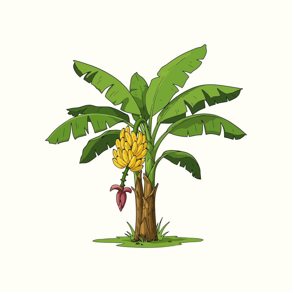 A cheerful cartoon banana tree bursts with life Lush green leaves surround a bunch of ripe yellow bananas, creating a joyful, tropical scene. vector