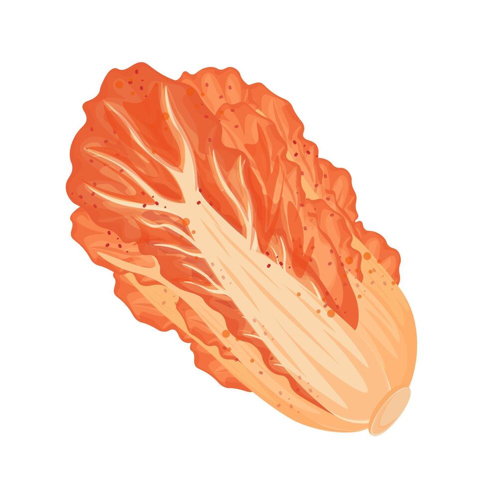 Illustration Logo Clipart Yangbaechu Kimchi or Napa Cabbage Kimchi vector