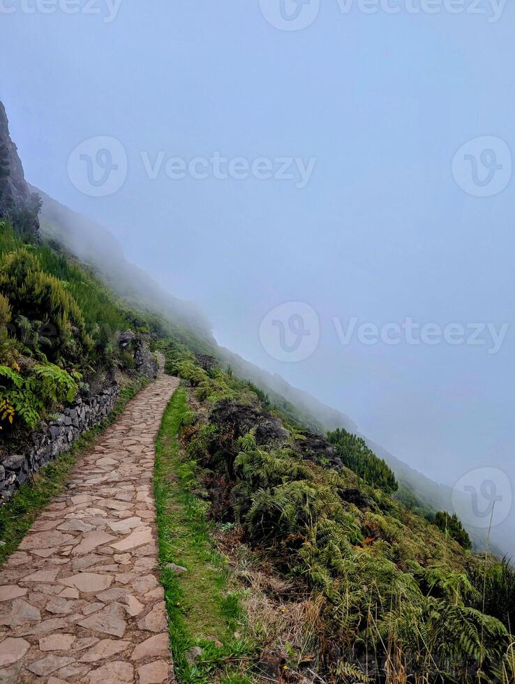 Madeira island PR1 Pico do Arieiro cliff hill mountains hiking trail fog mist overcast green grass eco nature connection wilderness valley path dramatic sky no people scenery vertical photography photo