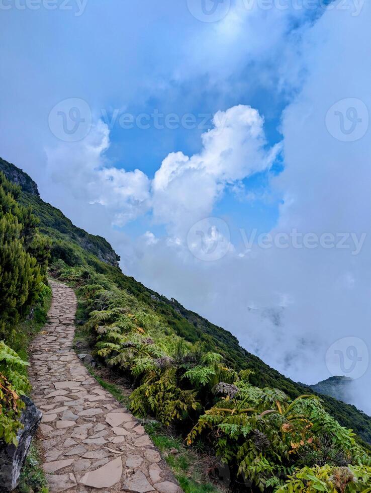Madeira island PR1 Pico do Arieiro cliff hill mountains hiking trekking trail fog mist green eco nature connection wilderness valley path dramatic sky no people scenery loneliness vertical photography photo