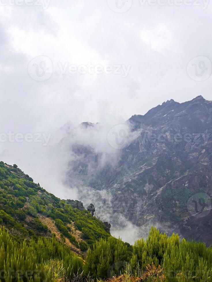 PR1 Madeira island Portugal forest fires consequences greenery rough burnt ground dramatic contrast mountains cliff hill fog mist eco nature connection bonding wilderness scenery distant vertical photo