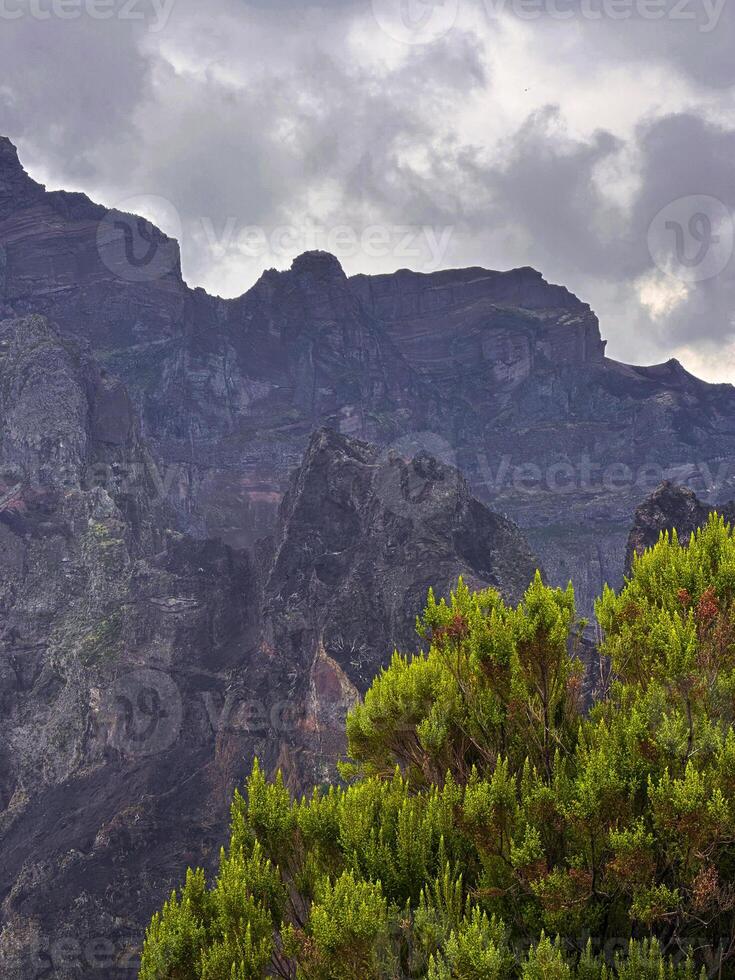 PR1 Madeira island Portugal forest fires consequences rough burnt ground greenery dramatic contrast mountains cliff hill fog mist eco nature connection bonding wilderness scenery distant vertical photo