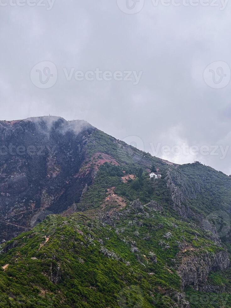 PR1 Madeira island Portugal forest fires consequences dramatic contrast burnt earth green trees rough mountains cliff hill fog mist eco nature connection bonding wilderness hiking scenery vertical photo