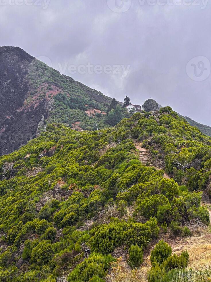 Madeira island hiking trail path valley forest fires consequences greenery rough burnt ground dramatic contrast mountains cliff hill fog mist eco nature connection bonding wilderness vertical photo