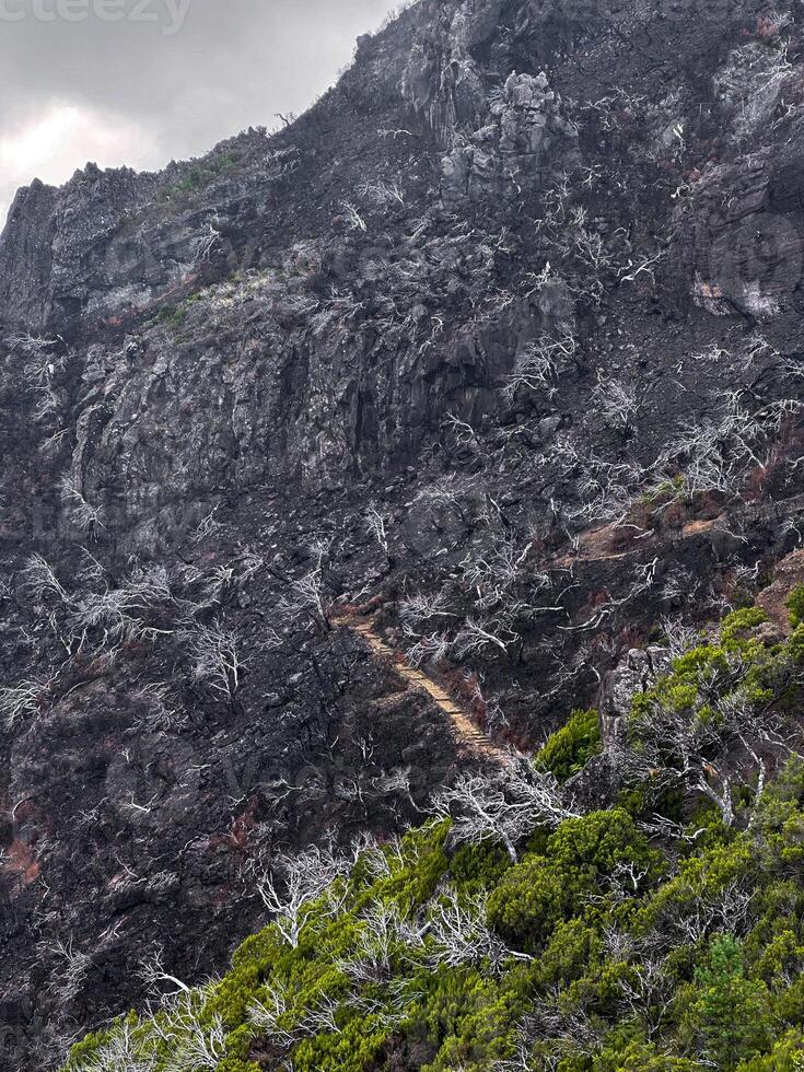 PR1 Madeira island Portugal forest fires close up dramatic contrast burnt earth green trees rough mountains cliff hill fog mist eco nature bonding wilderness hiking trekking path no people vertical photo