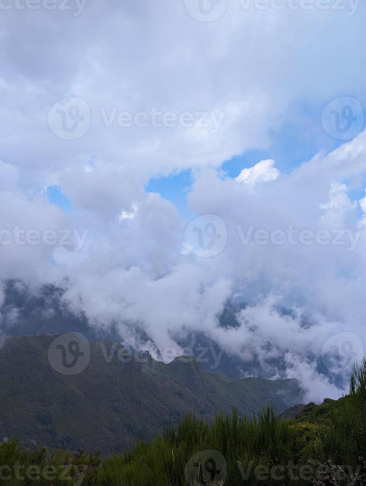 Madeira island blue sky cloudscape fog mist greenery mountains cliff hill eco nature connection bonding wilderness dramatic contrast hiking trail path valley no people scenery loneliness vertical photo