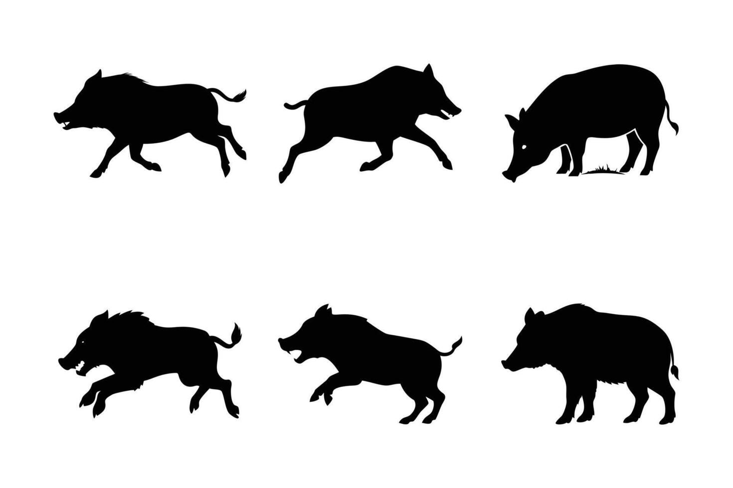 Clean Wild Boar Illustrations vector
