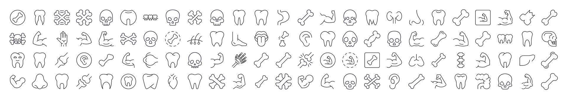 Internal Organs, Teeth and Bones Icon Set for UI, Placards, Books, Apps. Editable Stroke. Suitable for Web Sites, Books, Cards, Apps vector