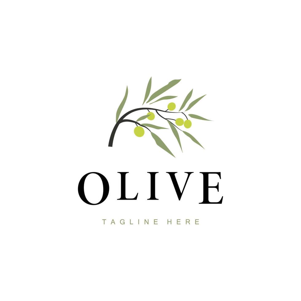 simple olive business brand template vector