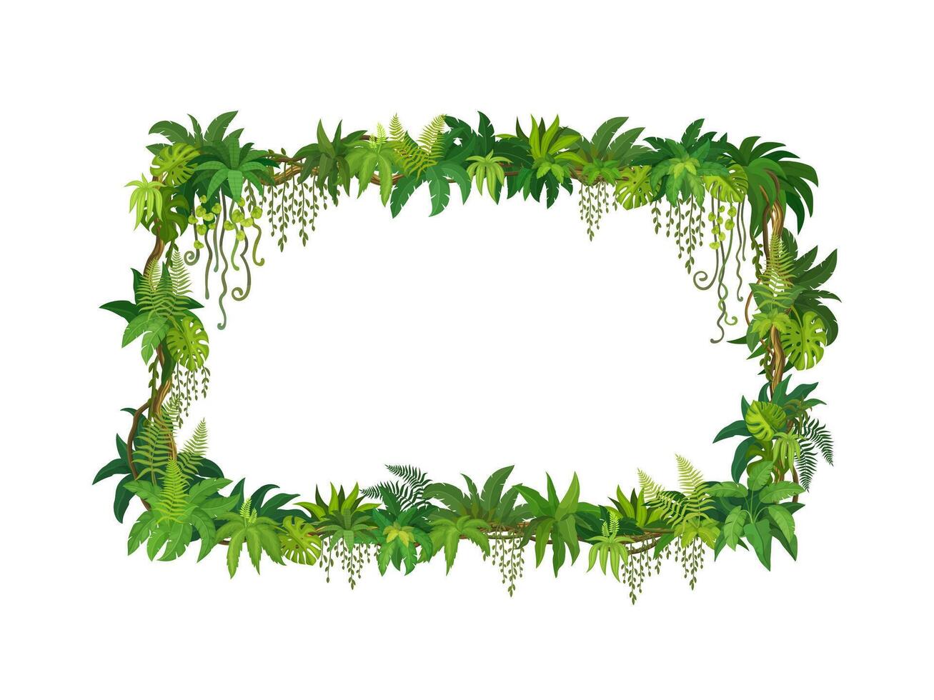 Frame of liana, jungle ivy and tropical leaves vector