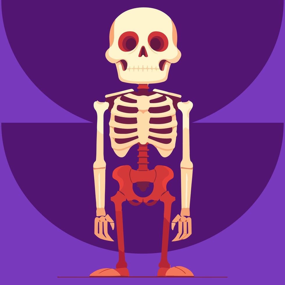 A cartoon skeleton standing on a purple background vector