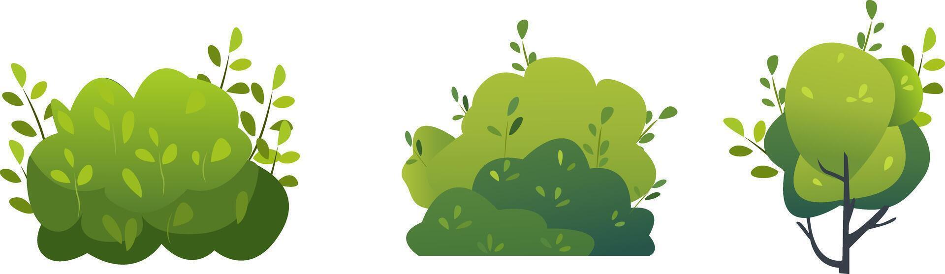 Three different types of green plants on a white background vector