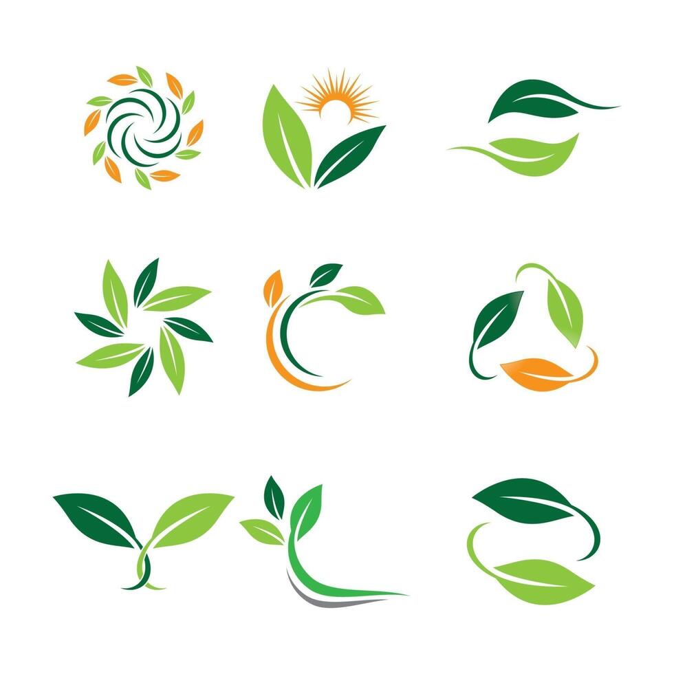Leaf logo images vector