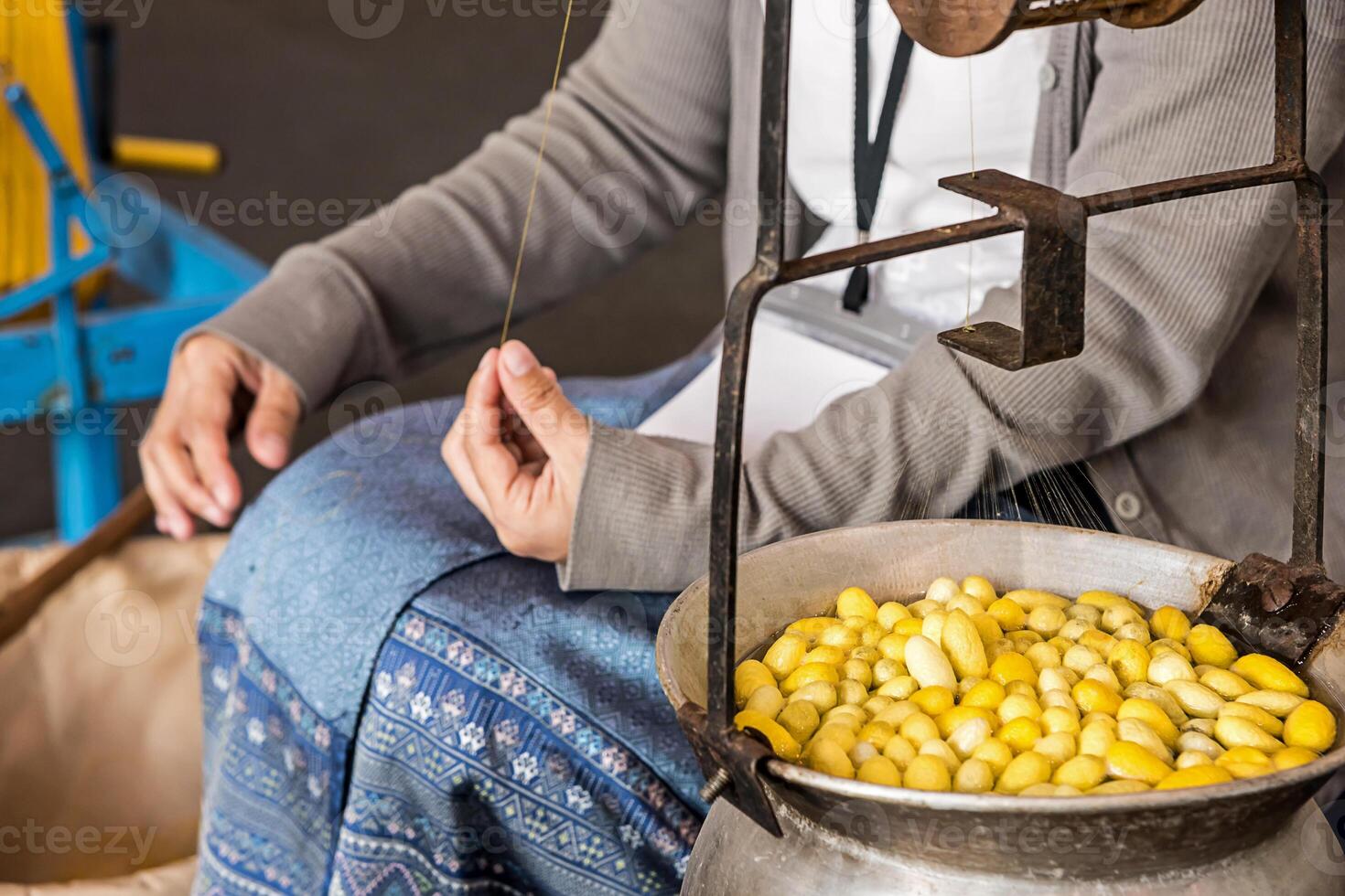 Traditional Spin Silkworm. photo