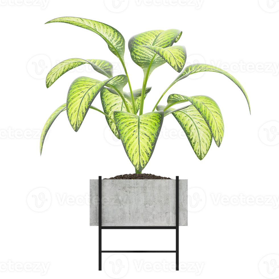 3D illustration green plant in pot png